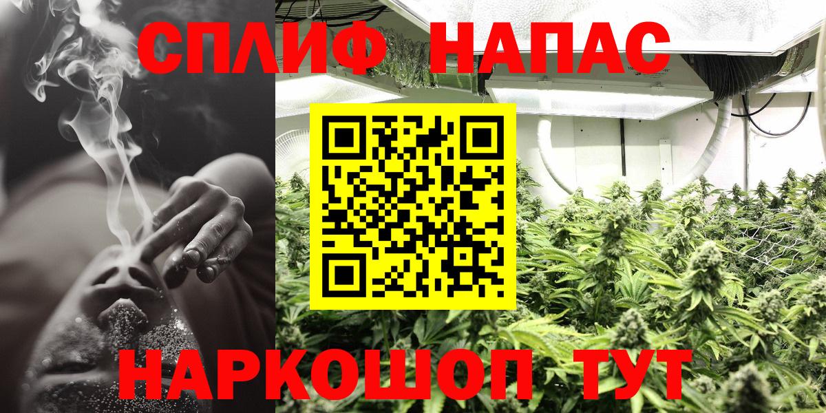 Карабулак  Канабис MAZAR  Вход с VPN  Бошки марихуана MAZAR  Каннабис тримм  Шишки марихуана сатива 